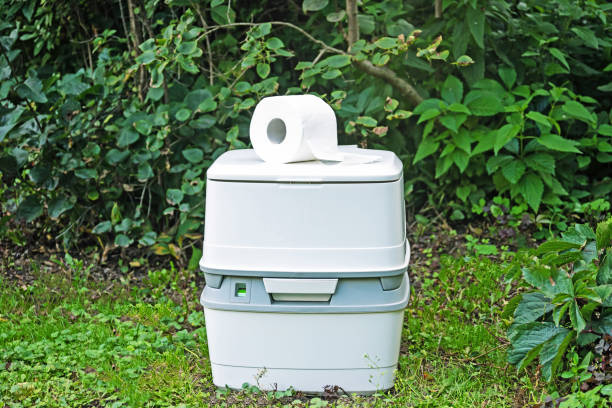Best Portable bathroom rental  in Lakeview, MI