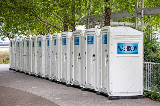 Affordable portable toilet rental in Lakeview, MI