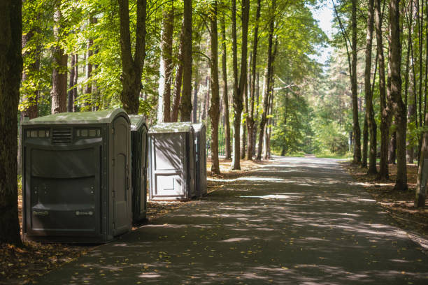Best Porta potty for special events  in Lakeview, MI