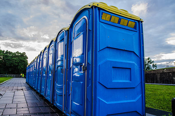 Best Porta potty rental for parties  in Lakeview, MI