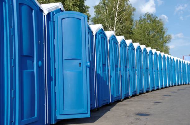 Best Local porta potty services  in Lakeview, MI